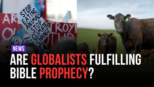 Are Globalists Fulfilling Bible Prophecy? - Encounter Today - Blog